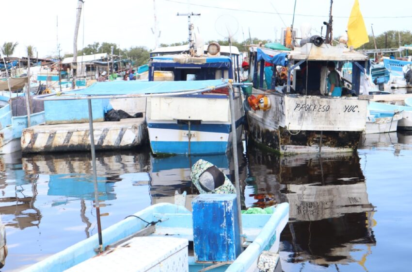  Preparados ante “Beryl”, en Progreso – Diario de Yucatán