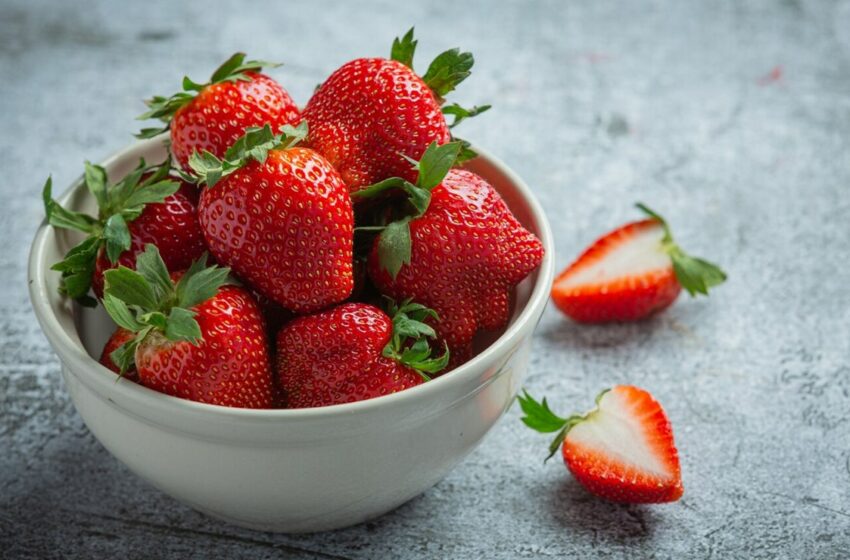  Quiénes no pueden comer fresas | El Universal