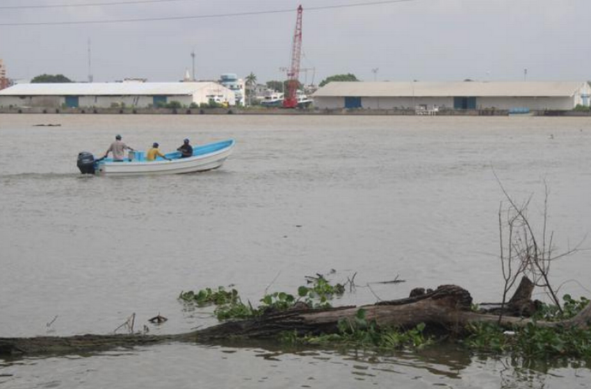  Pescadores solicitan el retiro de palizada del río Pánuco – El Sol de Tampico