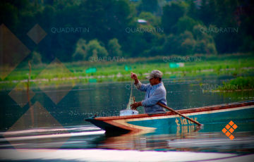  Con recuperación del lago de Pátzcuaro mejora la pesca – Quadratín