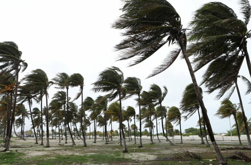  Tormenta Tropical Beryl, en vivo, 6 de julio: trayectoria y afectaciones en México | últimas noticias