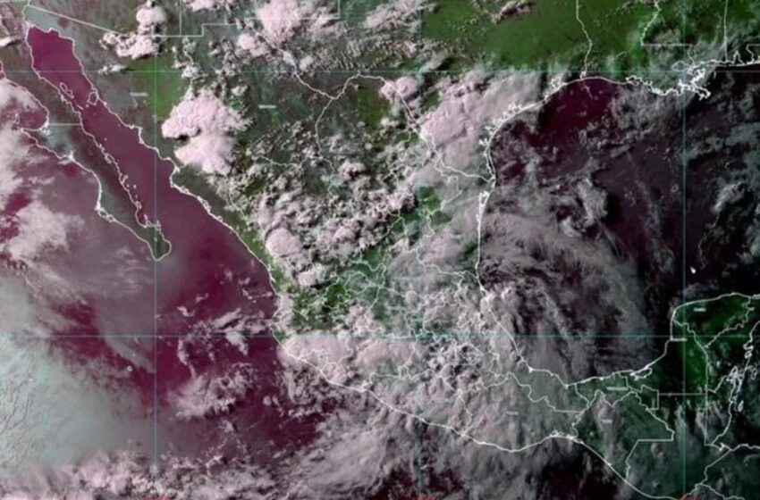  Onda tropical 10: estos serán los estados afectados por el fenómeno natural desde esta semana