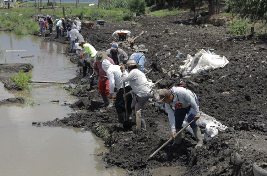  Pescadores de Pátzcuaro, en primera línea para recuperar el lago – El Sol de Zamora