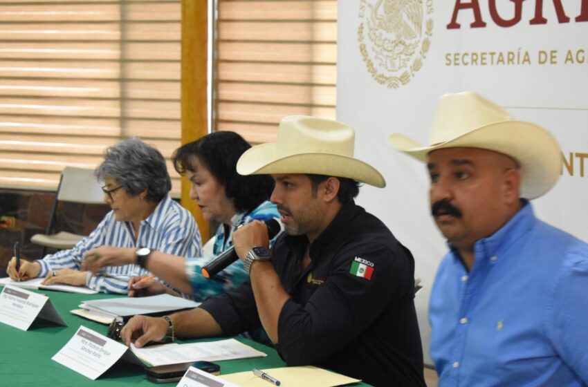  Trabaja Gobierno de Sonora en reconversión de cultivo y apoyos para productores de …