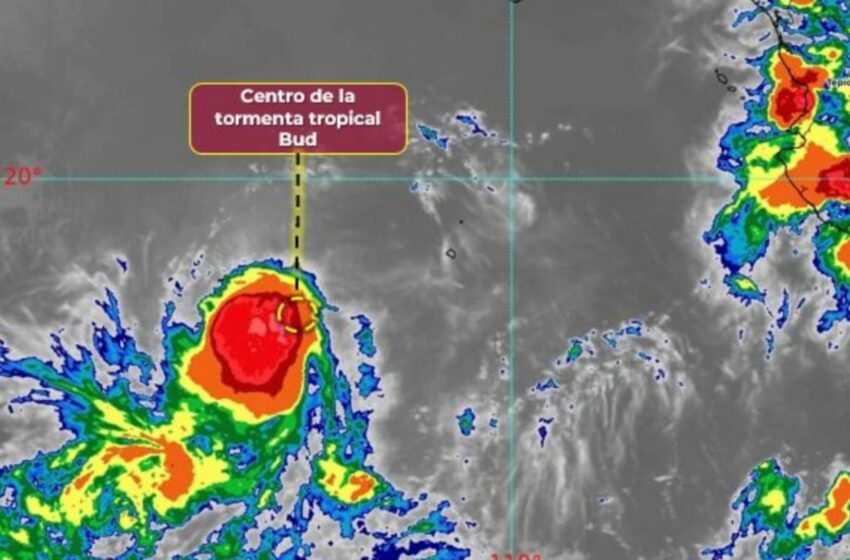  Tormenta Tropical Bud: trayectoria en vivo y estados afectados en México – Diario AS