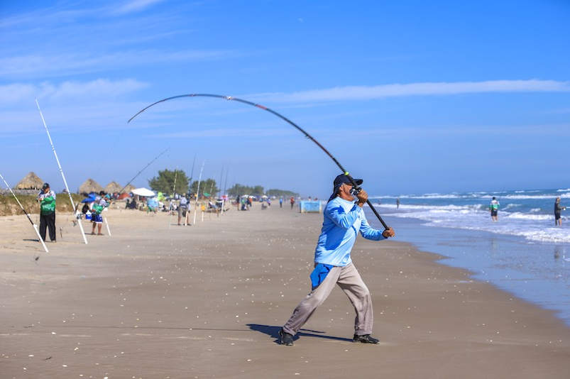  Desmienten Avistamiento De Tiburones En La Pesca – La Capital