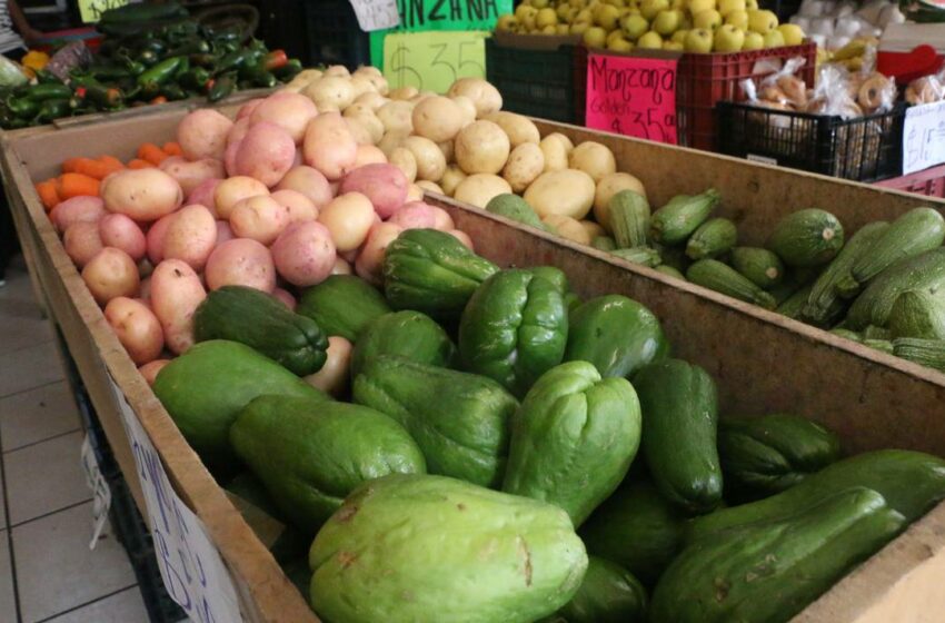  ¡Semana de bajos precios! Costos de chayote y jitomate disminuyen – Diario de Xalapa