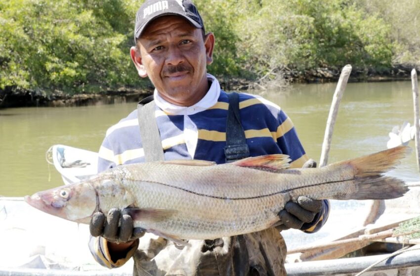  Inician en julio periodos de captura y veda temporal de diversas especies marinas y dulceacuícolas