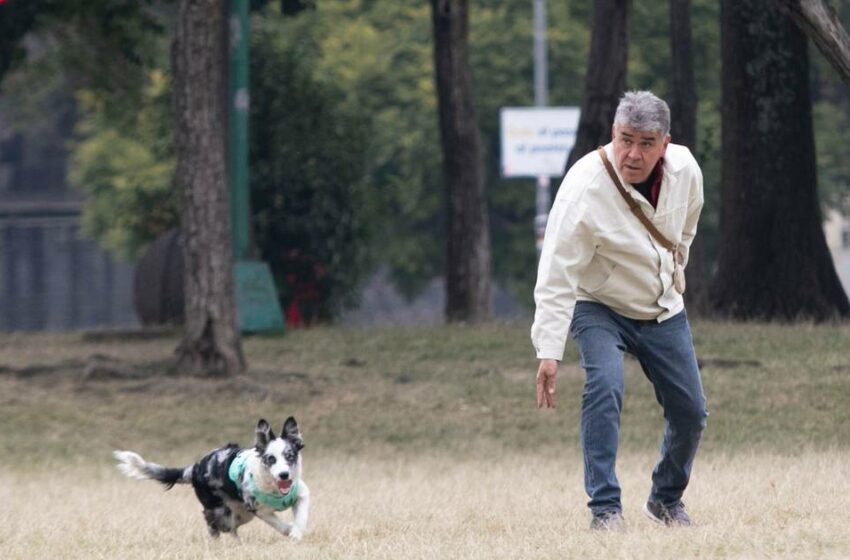  Día Mundial del Perro: ¿Por qué los 'lomitos' se hicieron nuestros mejores amigos?