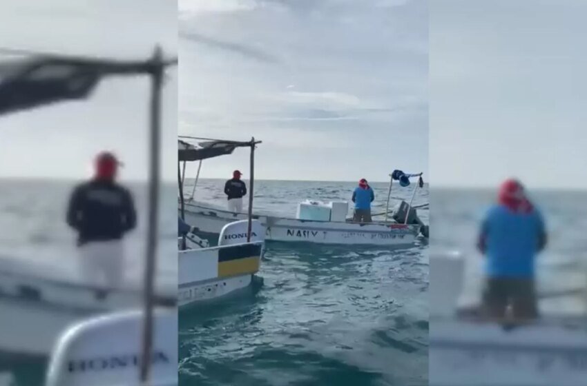  Detectan a pescadores furtivos cerca de Celestún, Yucatán – PorEsto