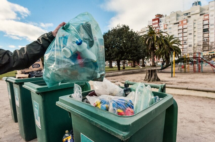  Medio Ambiente: el dispositivo Punto Verde se muda a plaza España – El Marplatense