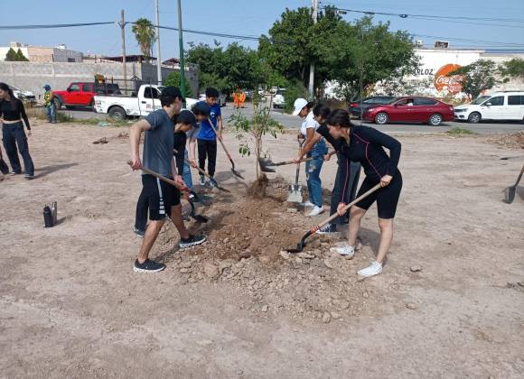  Medio Ambiente reforesta con más de 12 mil 400 unidades espacios públicos de Torreón