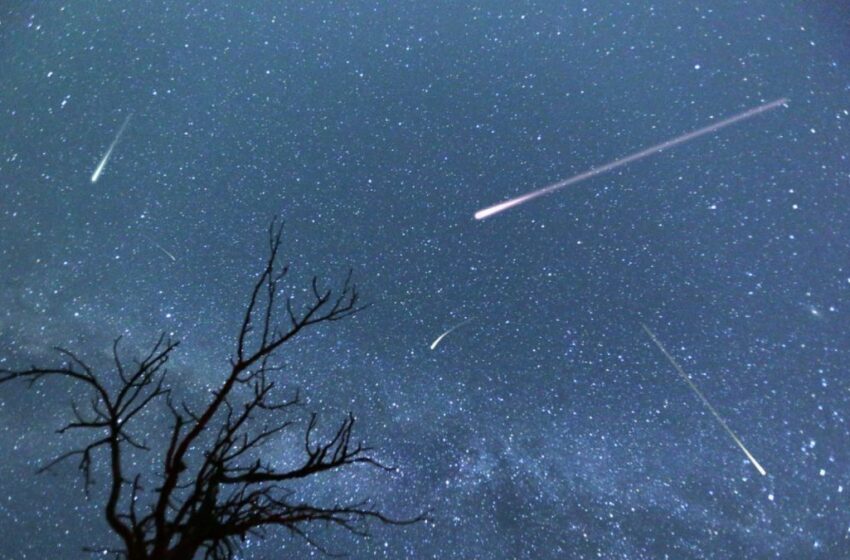  Lluvia de meteoritos en Argentina: cuándo es y cómo verla