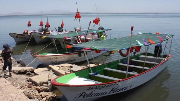  Conoce los paseos turísticos en el puerto de Yavaros – Diario del Yaqui