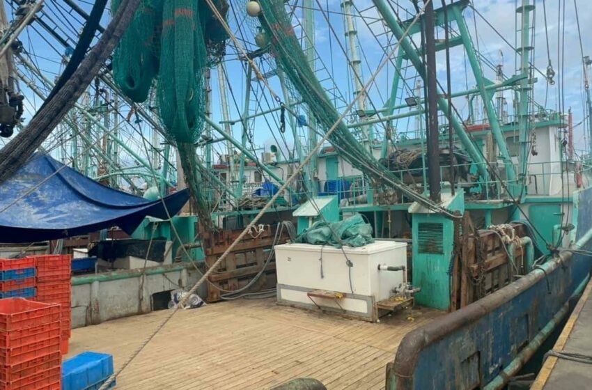  Pescadores se quedan sin dinero para reparar barcos; temen no poder trabajar