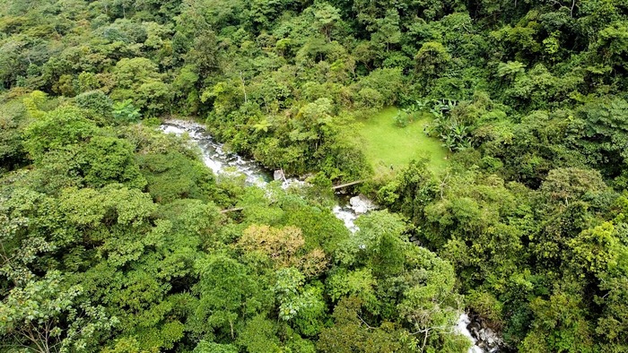  Convocatoria para la oferta de paquetes de turismo de naturaleza regenerativo COP16.