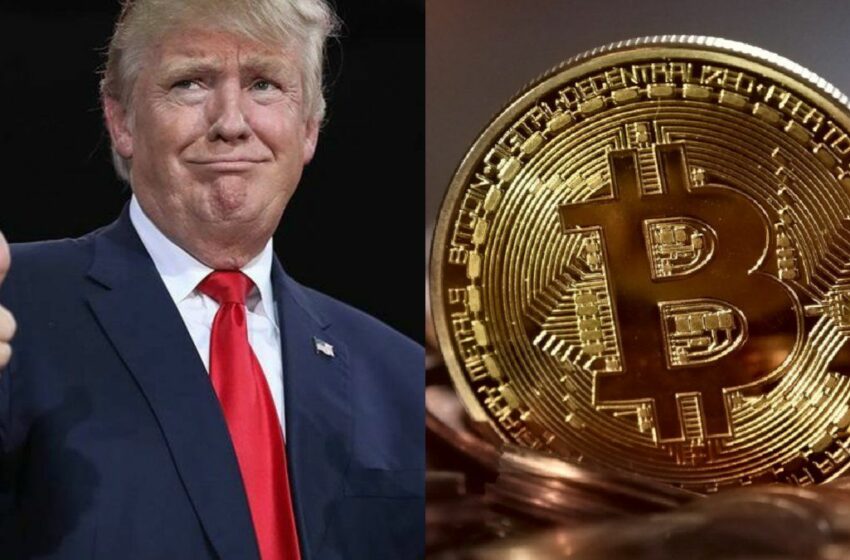  Donald Trump le hace un guiño a las criptomonedas y Bitcoin roza los u$s70.000