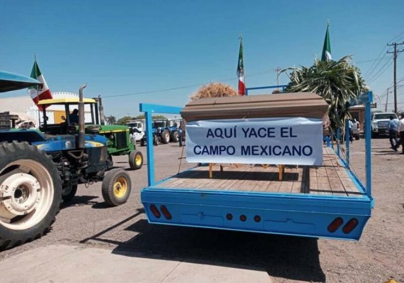  Ya ni manifestándonos nos escucha el gobierno: agricultores de Sonora – meganoticias