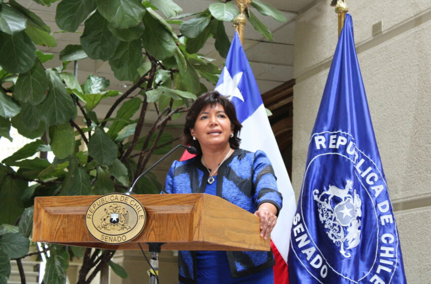  Senadora Yasna Provoste solicita al Presidente Boric declarar a la pequeña minería y …