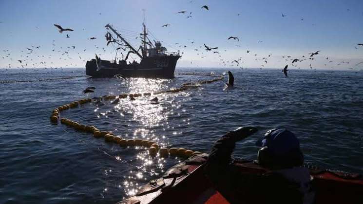  Oceana: Oaxaca con más recursos marítimos de México – Ciudadania Express