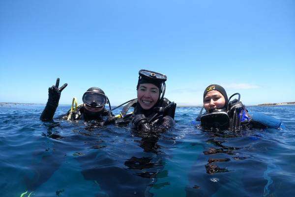  Las Sirenas de Natividad: Mujeres Pioneras en la Protección y Exploración del Mar en México