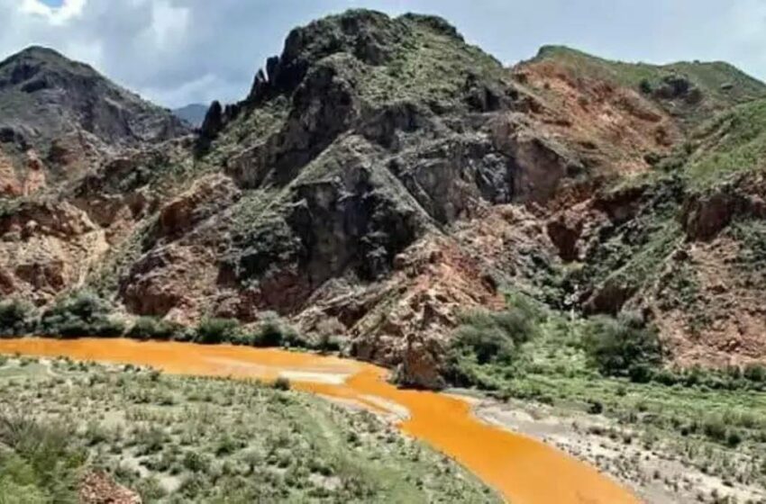  A 10 años de Río Sonora; German Larrea aumenta 32% su riqueza – Ángulo 7