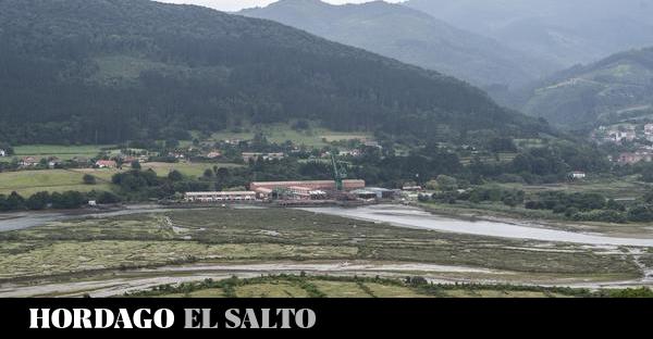  Una obra en las inmediaciones donde se ubicará el Guggenheim Urdaibai afectará a fauna …