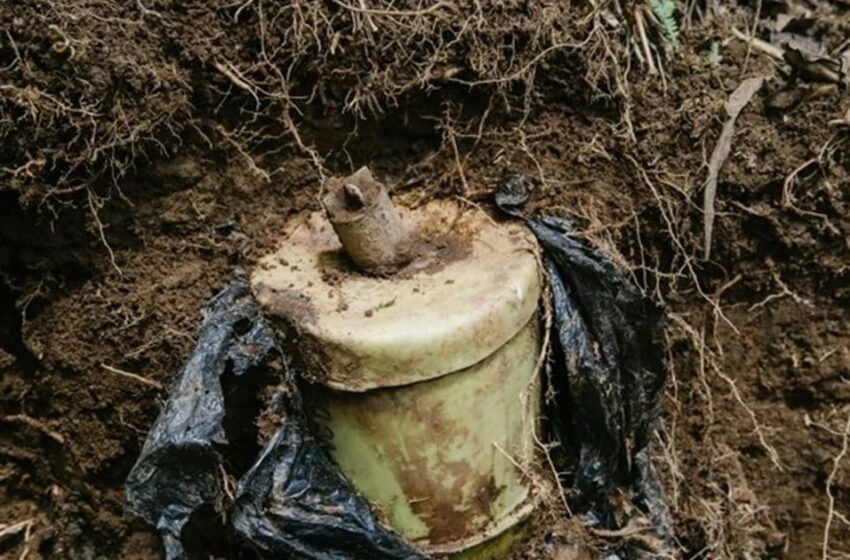  En medio de un campo de plátano dos menores de edad resultaron heridos al pisar minas …