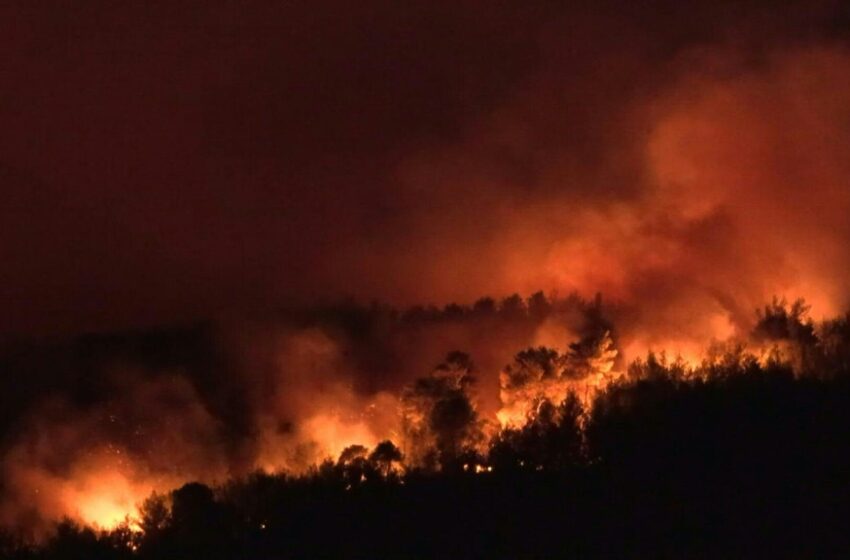  Grecia ordena más evacuaciones y pide ayuda a la UE por los incendios que se acercan a Atenas