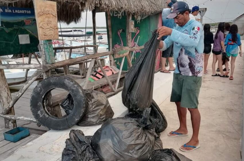  Limpian “herencia” turística en Río Lagartos – Diario de Yucatán