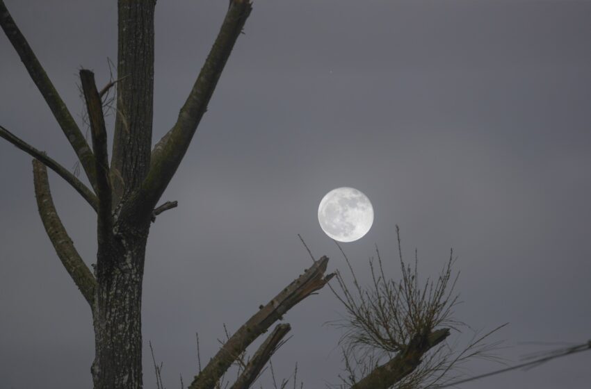  Luna llena de agosto 2024: ¿Cuándo es y por qué se le llama de Esturión?