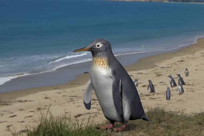  Este fósil de un pequeño pingüino revela cuándo esta especie desarrolló sus alas