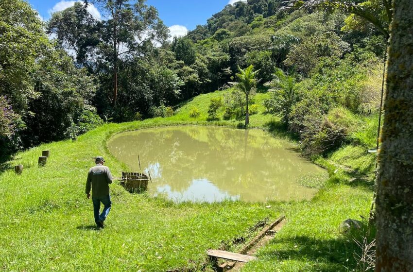  Lucha contra la minería ilegal: Más de 1500 hectáreas de la zona rural de Cali ahora son de …