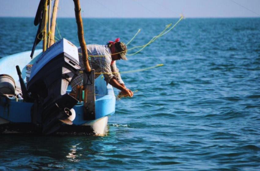  Pesca ilegal siembra inseguridad en la costa yucateca – El Momento Yucatán