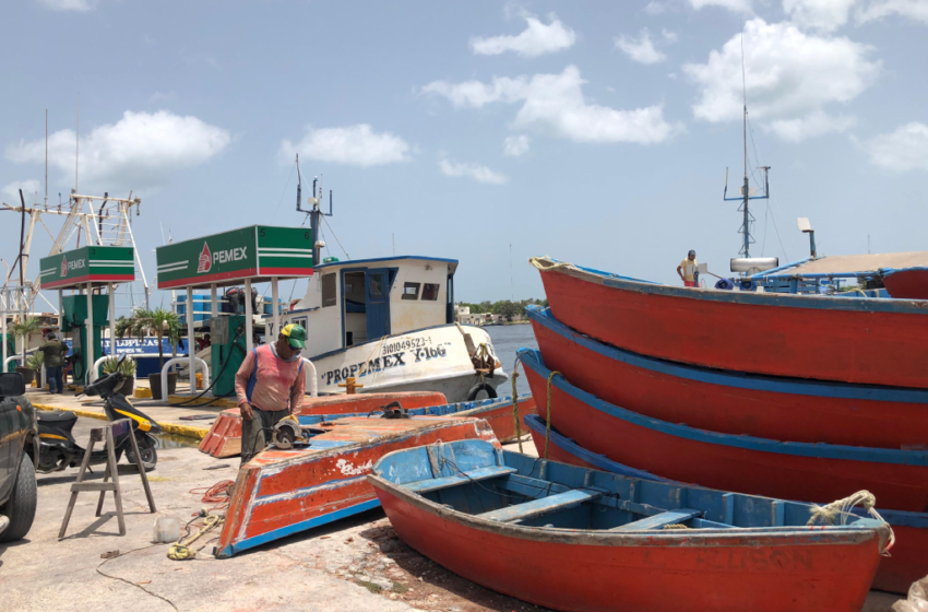  Reparan lanchas ante inicio de temporada de captura de pulpo – El Momento Yucatán