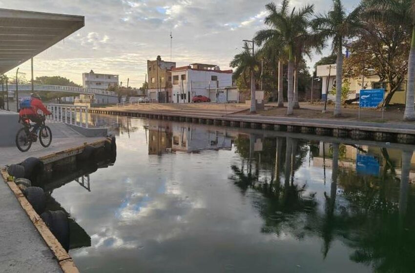  Verano cultural en Tampico: actividades gratis de arte y medio ambiente