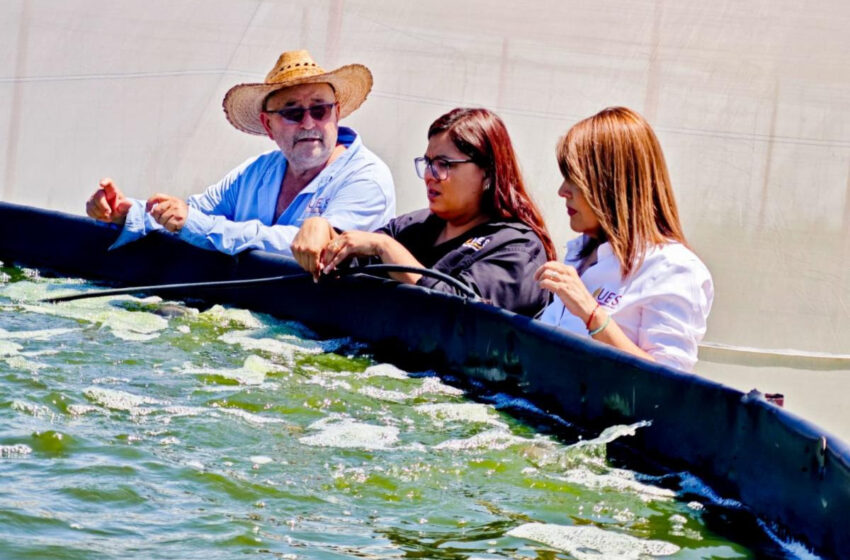  Supervisa Universidad Estatal de Sonora funcionamiento de sus Campos Experimentales