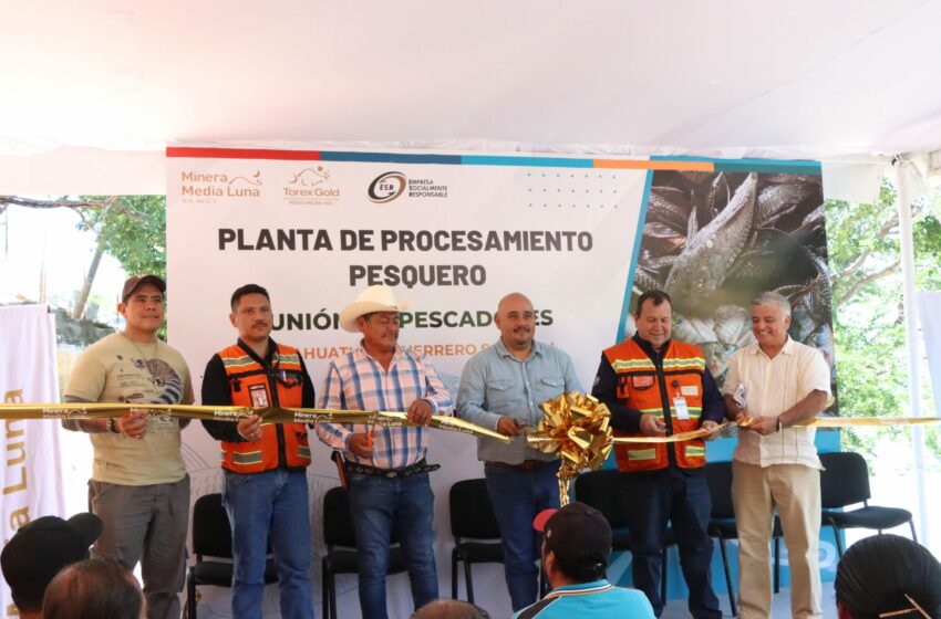  Ponen en marcha Media Luna y pescadores del Balsas la primera planta de procesamiento …