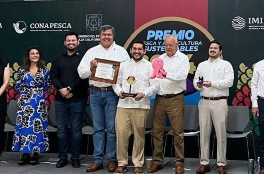  Gana Yucatán el Premio Nacional de Pesca y Acuacultura Sustentables 2024 – 24 Horas