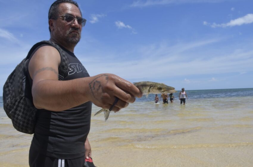  ¿Te gusta la pesca? – Quadratin Quintana Roo