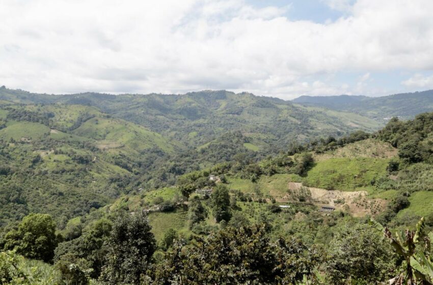  Exigen que se revisen las concesiones mineras en reserva del Chocó Andino, cerca de Quito