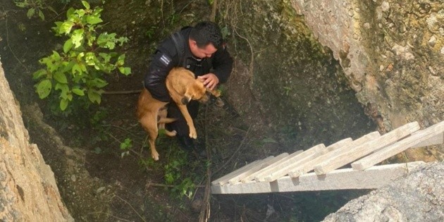  Rescatan a perro ciego que cayó en sumidero