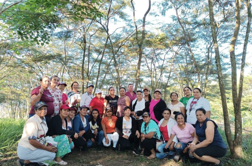  Mujeres campesinas de Mesetas, Meta: guardianas del medio ambiente