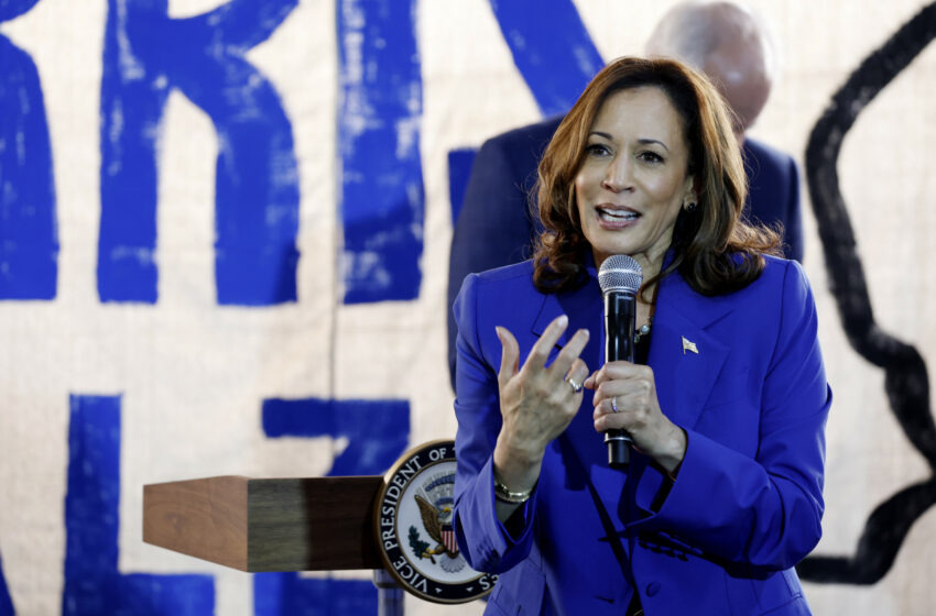  Los demócratas se enfrentan a las críticas por el nuevo plan económico de Kamala Harris