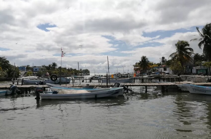  Instituto de Pesca y Acuacultura de Campeche detectó 120 permisionarios 'patito' – PorEsto