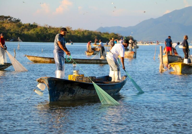  Llega el bienpesca en Septiembre para los pesacadores – meganoticias