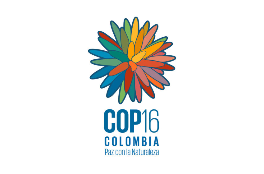  Min Ambiente presentará proyecto de ley que elimine el IVA de la COP 16 – RTVC Noticias