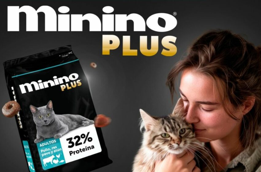  El alimento para gatos más TOP en Amazon cuesta solo 45 pesos el kilo – Revista Merca2.0