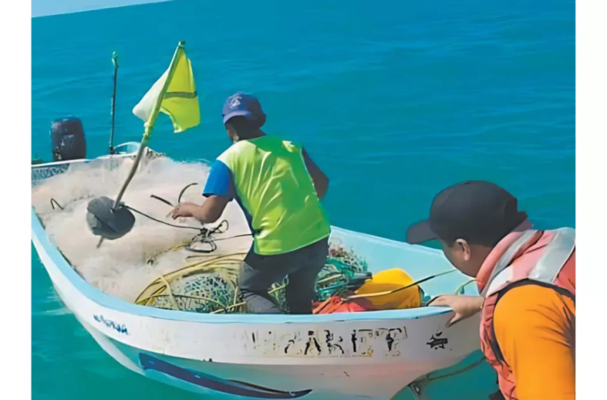  Pescadores de Ciudad del Carmen proponen dividir la veda para aumentar la captura