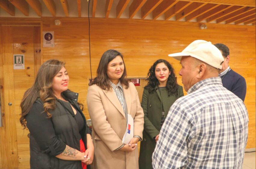  Subsecretaria de minería visitó Limarí para reforzar formación en seguridad de pirquineros